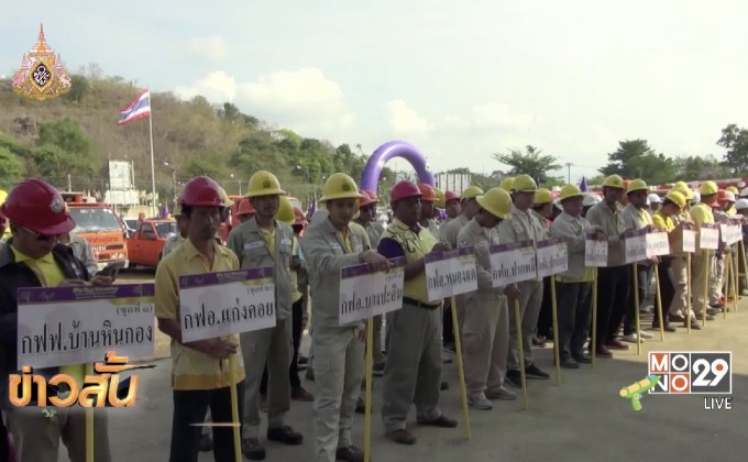 PEA จัดกิจกรรม “Big Tree Trimmimg”