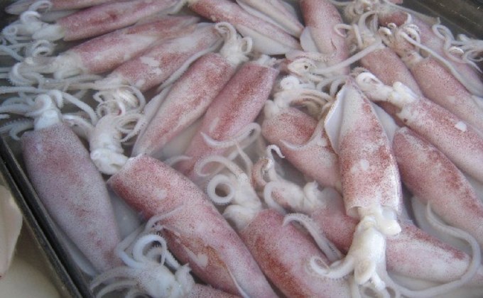 เตือนภัย! พ่อค้าแสบใช้ยาแอสไพรินแช่ปลาหมึก