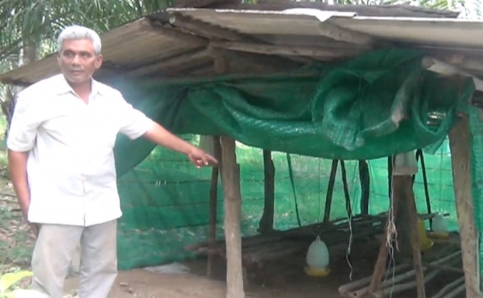 เฝ้าดูอาการผู้ต้องสงสัยติดเชื้อไข้หวัดนก จ.กระบี่