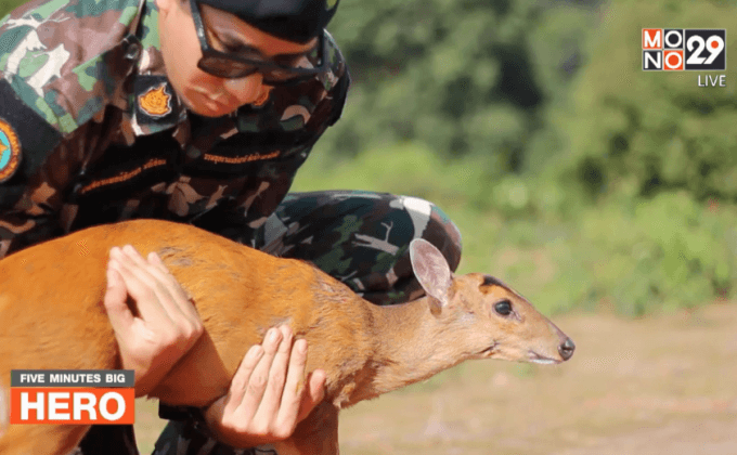 Five minutes Bighero : น.สพ.ภัทรพล มณีอ่อน HERO  ผู้พิทักษ์สัตว์ป่า ตอนที่ 5/5