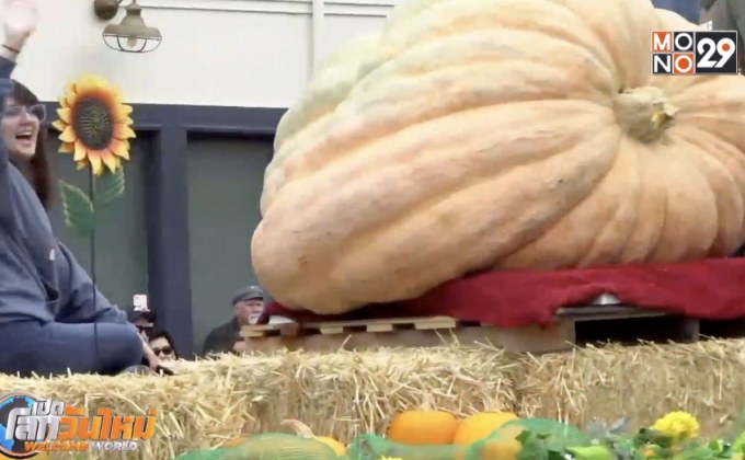 เทศกาลฟักทองในแคลิฟอร์เนีย