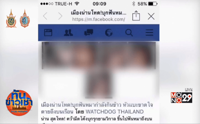 สลด! เพื่อนบ้านโหด บุกฟันสุนัขสองลุงป้า ตายคาที่