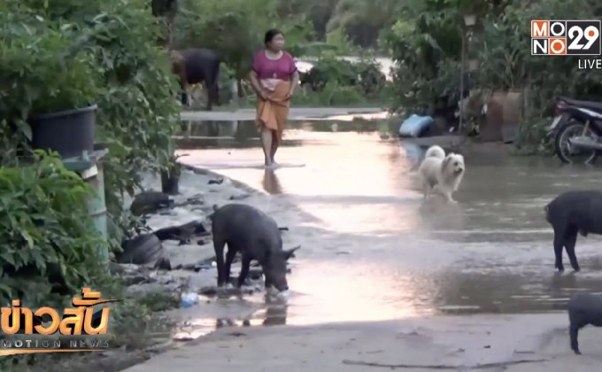 ชุมชนริมแม่น้ำตรังเผชิญน้ำท่วม
