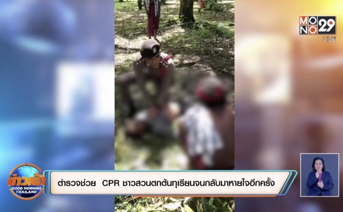 ตำรวจช่วย CPR ชาวสวนตกต้นทุเรียนจนกลับมาหายใจอีกครั้ง
