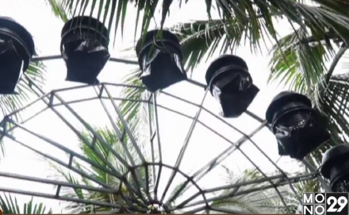 เลี้ยงไก่ตะกร้าบนชิงช้าสวรรค์ หนึ่งเดียวในไทย