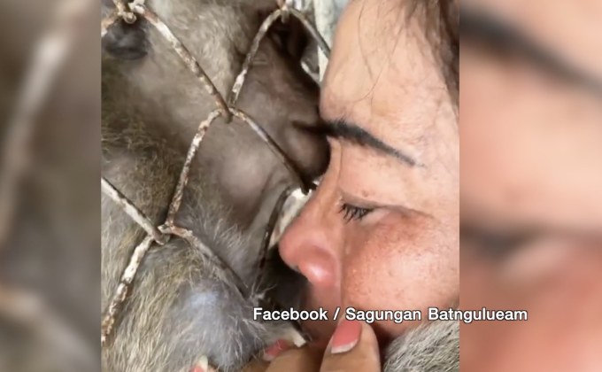 มูลนิธิฯ ชี้แจงการเลี้ยงดูลิง “มะลิ” หลังเจ้าของขอคืน