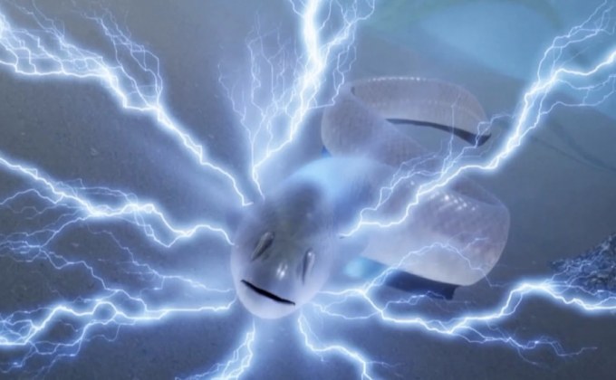 นักวิจัยพบปลาไหลไฟฟ้าพันธุ์ใหม่ ปล่อยแรงดันไฟฟ้า 860 โวลต์