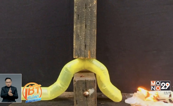 “หุ่นยนต์เถาวัลย์” สำหรับภารกิจค้นหาและกู้ชีพ