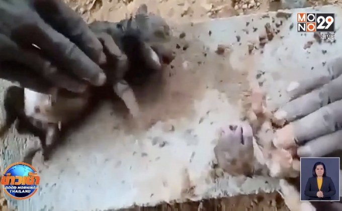 ชื่นชมกลุ่มคนงานก่อสร้างช่วยชีวิตลูกหมาสองตัวให้รอดจมน้ำ