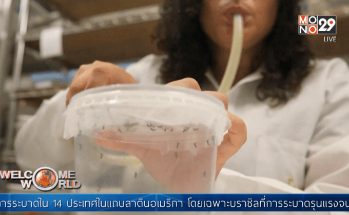 ข้อเท็จจริงเบื้องหลังไวรัสซิก้า