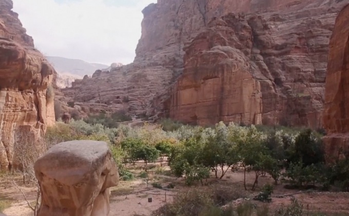 สวนผลไม้ใกล้เมืองโบราณเพตรา