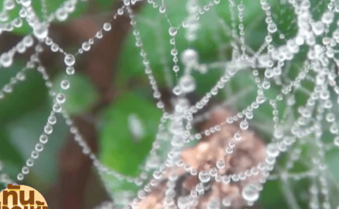 ภาคอีสานหลายจังหวัดเริ่มหนาวเย็น