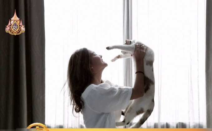 Seeme ปล่อยหนังสั้นโรแมนติก “เนโกะ ฉันอยากเป็นแมว”