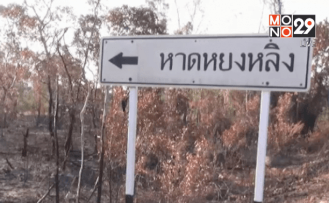 ไฟไหม้ป่าเขตอุทยานฯ หาดเจ้าไหมกว่า 50 ไร่