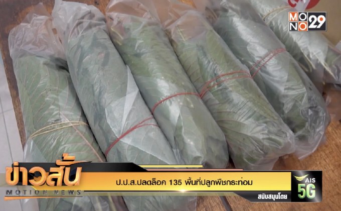 ป.ป.ส.ปลดล็อค 135 พื้นที่ปลูกพืชกระท่อม