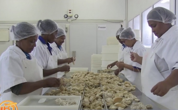 อุตสาหกรรม “หอยเป๋าฮื๊อ” แอฟริกาใต้