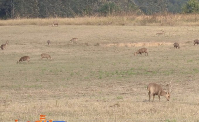กรมอุทยานฯ เร่งจัดการพื้นที่กันชนผืนป่าภูเขียว