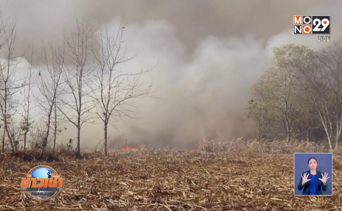 ไฟป่า จ.เลย ลุกลามไหม้ไร่อ้อย