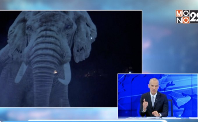 โรงละครสัตว์โฮโลแกรมแห่งแรกของโลก