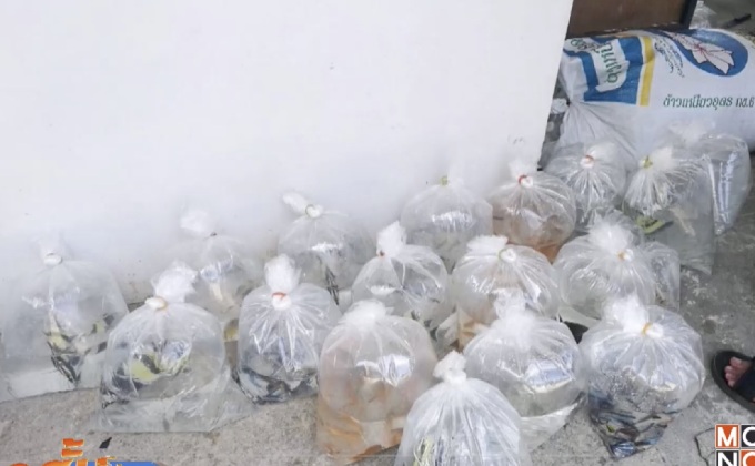 จับคนขับรถทัวร์ลักลอบขนปลาสวยงามนับพันตัว