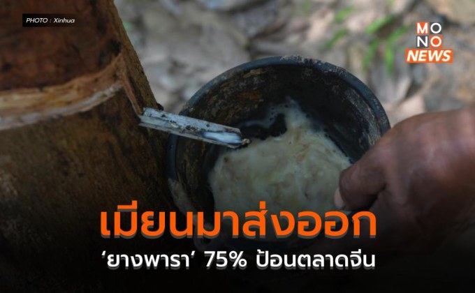 เมียนมาส่งออก ‘ยางพารา’ 75% ป้อนตลาดจีน