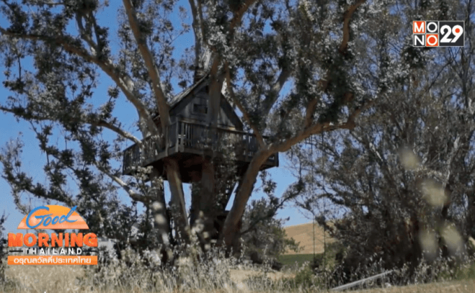 บ้านต้นไม้พร้อมรับมือ “ซูเปอร์โบว์ล”