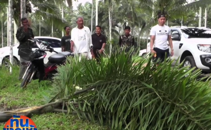 ช้างป่าอาละวาด ไล่เหยียบชาวบ้านออกกรีดยาง