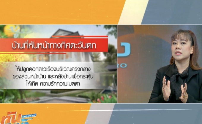 ดาวเรืองดอกไม้มงคลในบ้านวางถูกทิศชีวิตรุ่งเรือง