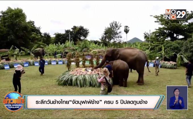 ระลึกวันช้างไทย “จัดบุฟเฟ่ช้าง” ครบ 5 ปีปลดกูบช้าง