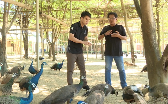 เจษฎาพาลุย : สวนนกยูงสามพราน