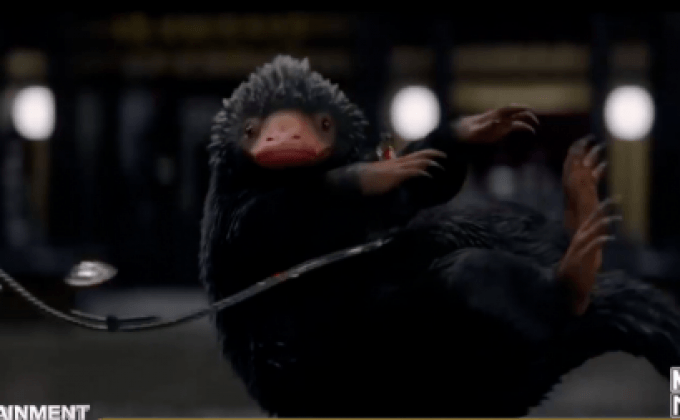 นักวิเคราะห์ชี้ Fantastic Beasts เป็นตัวอย่างที่ดีแก่อนาคตหนังฮีโร่