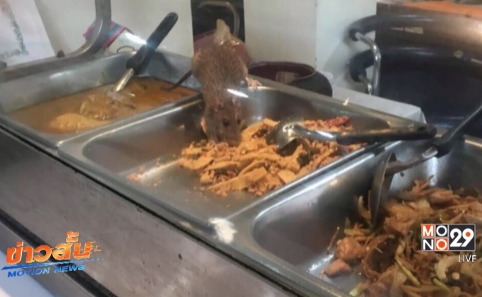 พบโพรงหนูขนาดใหญ่ในห้องครัวรัฐสภา