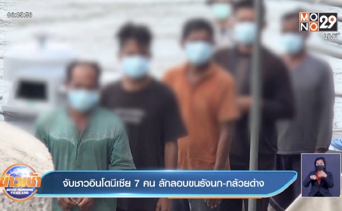 จับชาวอินโดนีเซีย 7 คน ลักลอบขนรังนก-กล้วยด่าง