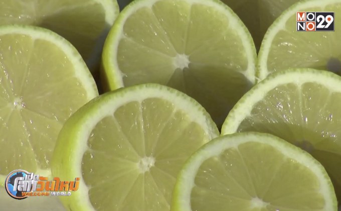 แคลิฟอร์เนียปลูก “มะนาวไร้เมล็ด” ได้สำเร็จ