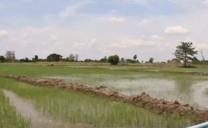 ภัยแล้ง จ.นครสวรรค์ ขยายวงกว้าง