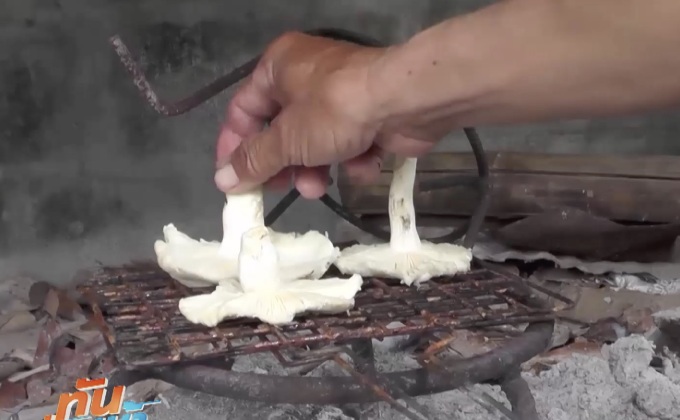 เตือนภัย! ป้ากินเห็ดพิษ หวิดดับ