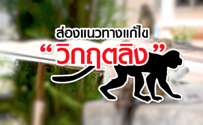 คุยครบกับพบเอก : ส่องแนวทางแก้ไข “วิกฤตลิง”