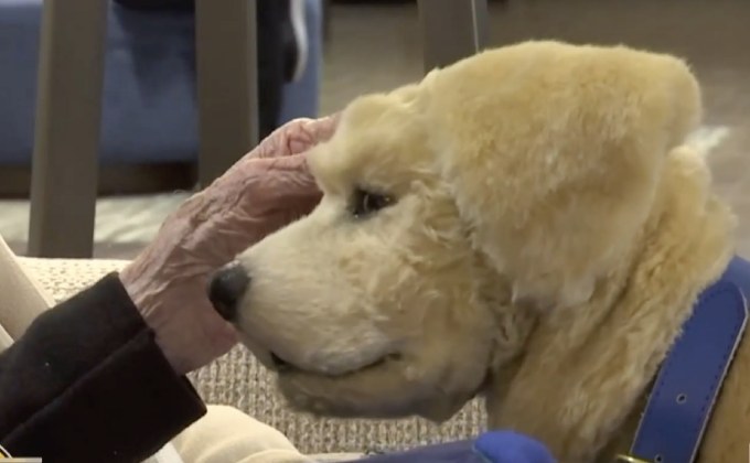 29 Lifesmart : หุ่นยนต์สุนัขช่วยผู้ป่วยอัลไซเมอร์