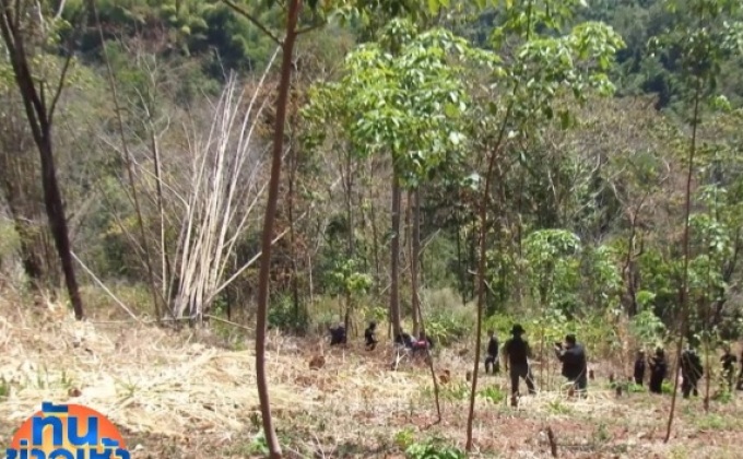 ตรวจพบการบุกรุกป่าต้นน้ำ พื้นที่ฟื้นฟูเขาหัวโล้น