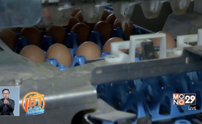 เบลเยียม-เนเธอร์แลนด์ตรวจสอบปัญหาไข่ปนเปื้อน