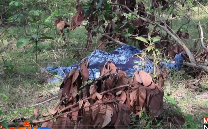 ชายวัย 30 ปีถูกแทงเสียชีวิตในสวนยาง จ.ยะลา