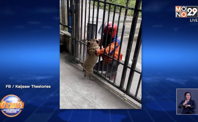 ทนคิดถึงไม่ไหว เจ้าของยอมส่งพัสดุ EMS เพื่อให้สุนัขได้เจอกับคนส่ง