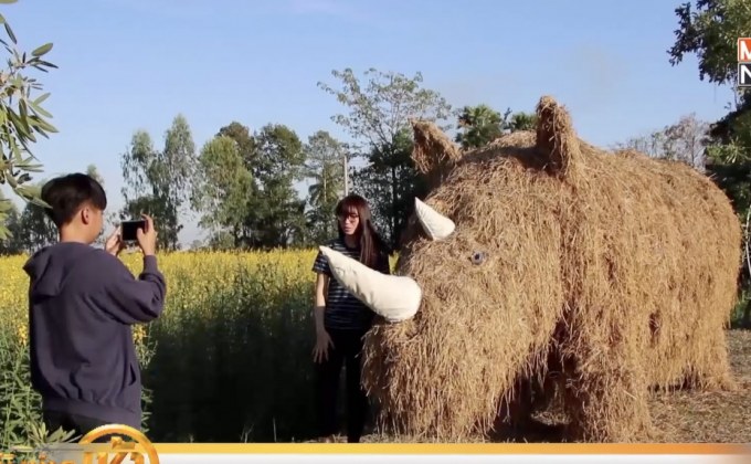 สีสันสวนสาธารณะดงมะไฟหวาน – หุ่นแรดยักษ์ จ.พิษณุโลก