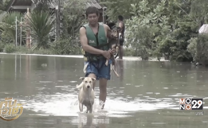 ผลกระทบฝนตกต่อเนื่อง