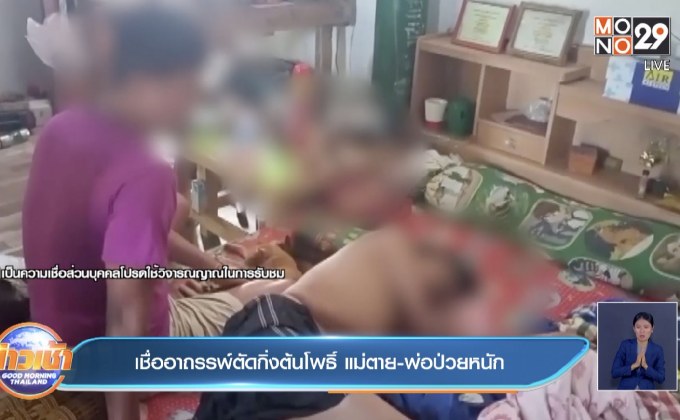 เชื่ออาถรรพ์ตัดกิ่งต้นโพธิ์ แม่ตาย-พ่อป่วยหนัก