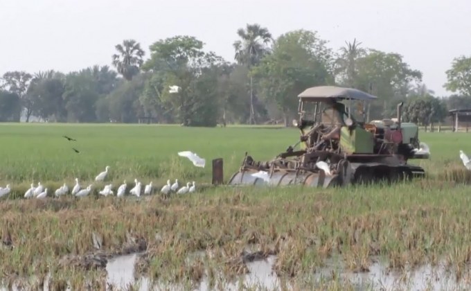ชาวนาไม่เห็นด้วย บังคับทำใบขับขี่รถทางการเกษตร