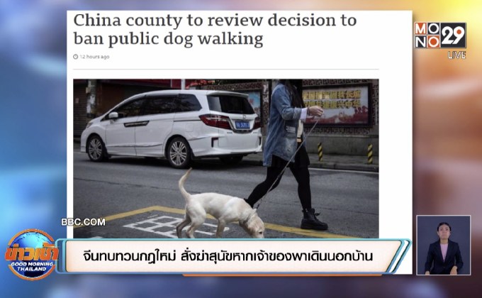 จีนทบทวนกฎใหม่ สั่งฆ่าสุนัขหากเจ้าของพาเดินนอกบ้าน