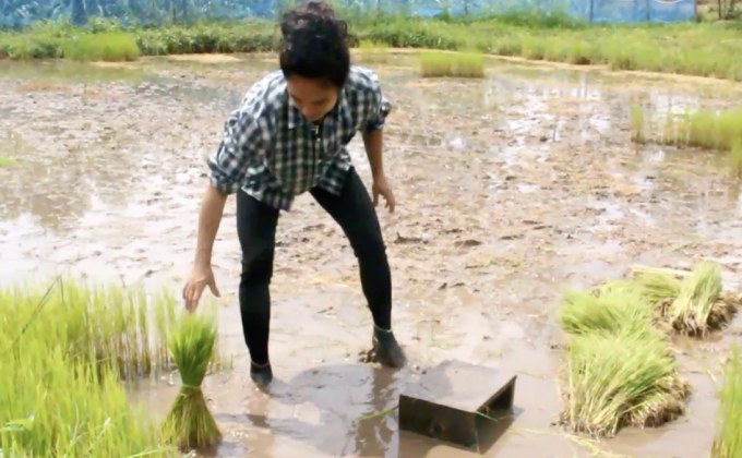 นักจักรยานทีมชาติไทยช่วยญาติพี่น้องทำนา