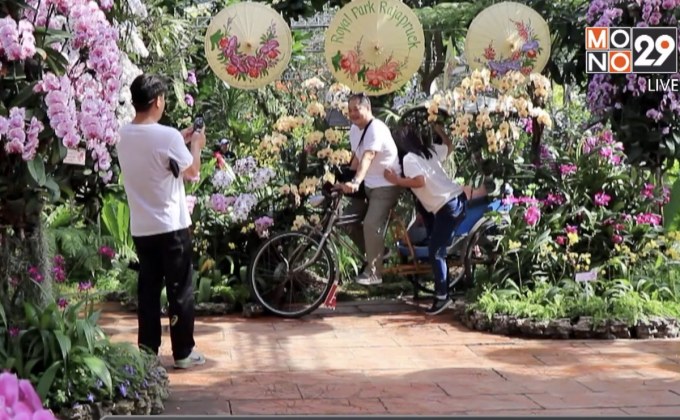 นทท.ตื่นตากล้วยไม้นับหมื่นดอกบานสะพรั่ง