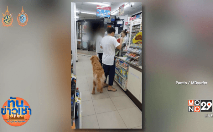 จบดราม่า! ลูกค้าจูงสุนัขเข้าเซเว่นฯ โร่ขอโทษ